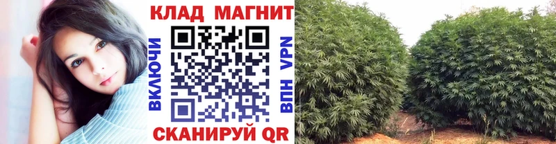 Купить наркотики Новокубанск Амфетамин Гашиш КОКАИН
