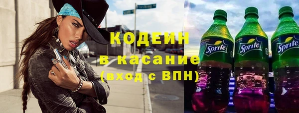стаф Гусь-Хрустальный