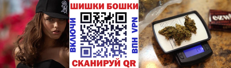купить наркотик  Новокубанск  Марихуана SATIVA & INDICA 
